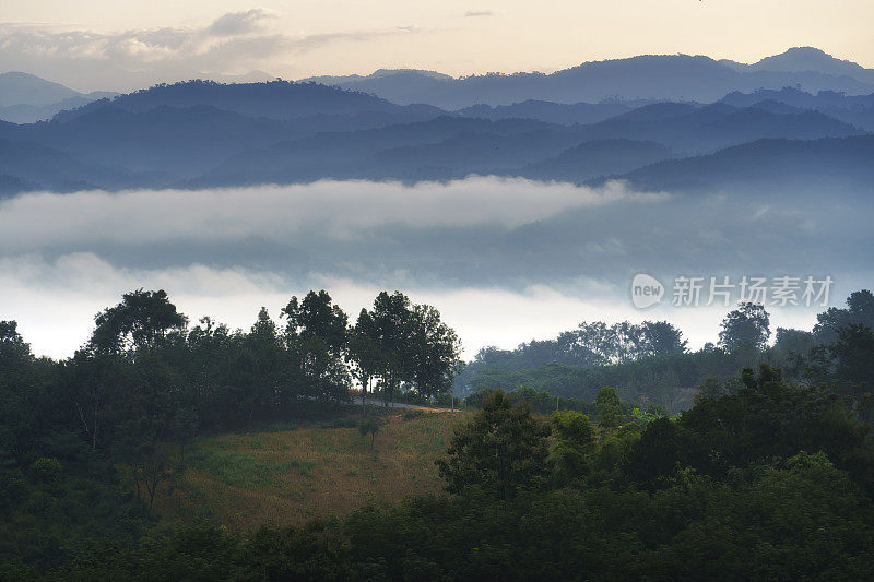 在Doi Phu Kha国家公园的山脉和雾海，在早上，泰国南省